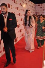 at Stardust Awards 2013 red carpet in Mumbai on 26th jan 2013 (570).JPG